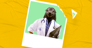 polaroid foca enem medica