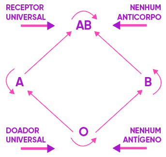 universal-anticorpo