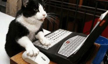 Saiba como estudar biologia da melhor forma possível