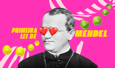 Primeira Lei de Mendel: Veja as partes mais importantes para o Enem