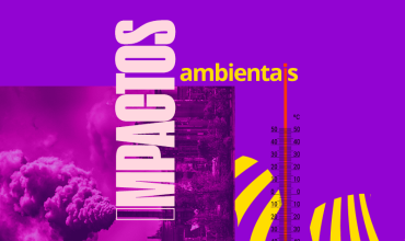 Quais impactos ambientais estudar para o Enem?