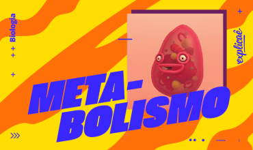 O que é metabolismo, metabolismo energético e basal?