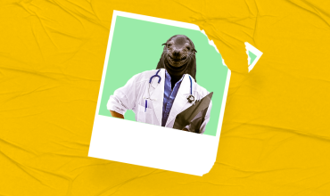 Descubra como os novos cursos podem te ajudar no sonho da aprovação