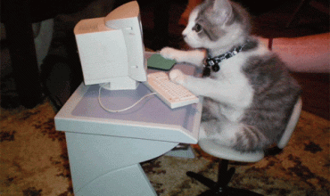 Por que estudar online pode ser a melhor opção para você?