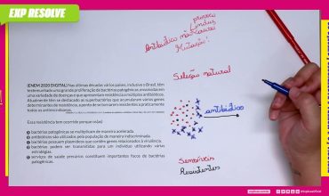 Nas últimas décadas vários países, inclusive o brasil, têm testemunhado