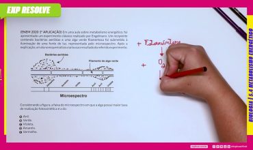 Em uma aula sobre metabolismo energético, foi
