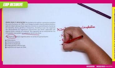 Na tentativa de explicar o processo evolutivo dos seres humanos, em 1981,
