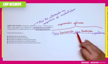 Fenômenos  epigenéticos levam a modificações do dna e das histonas, que