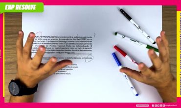 Procuramos demonstrar que o desenvolvimento pode ser visto como um