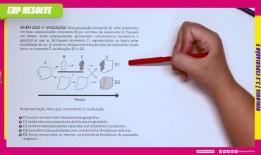 Uma população (momento a) sofre isolamento em duas