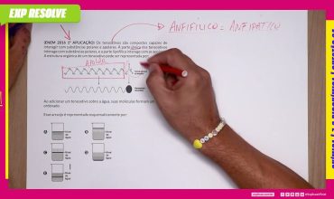 Os tensoativos são compostos capazes de interagir com substâncias polares e