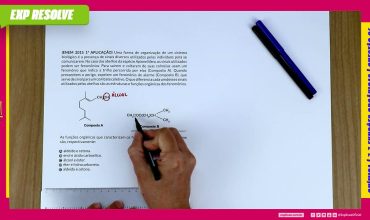 Uma forma de organização de um sistema biológico é a presença de sinais