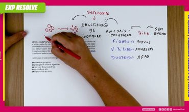 A vesícula biliar é um órgão muscular onde a bile é armazenada. os cálculos
