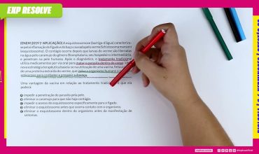 A esquistossomose (barriga- d’água) caracteriza-se pela inflamação do fígado e do