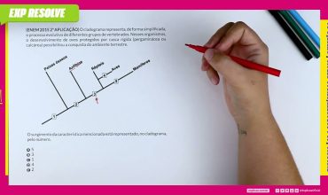 O cladograma representa, de forma simplificada, o processo evolutivo de