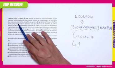 Apesar de belos e impressionantes, corais exóticos encontrados