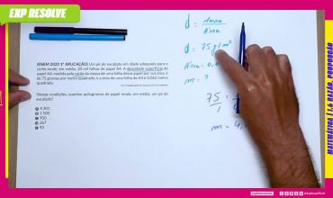Um pé de eucalipto em idade adequada para o corte rende
