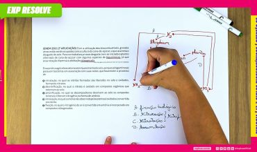 Com a utilização dos biocombustíveis, grandes áreas estão sendo ocupadas