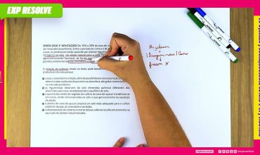 De 15% a 20% da área de um canavial precisa ser renovada anualmente