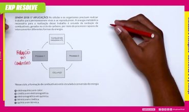As células e os organismos precisam realizar trabalho para