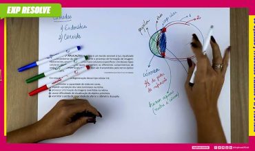 A retina é um tecido sensível à luz, localizado na parte posterior do olho,