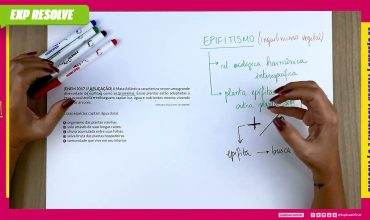A mata atlântica caracteriza-se por uma grande diversidade de epífitas