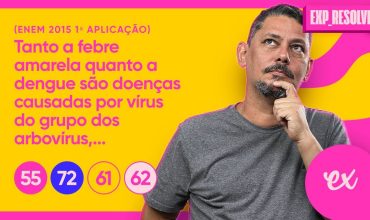 Tanto a febre amarela quanto a dengue são doenças causadas por vírus do grupo