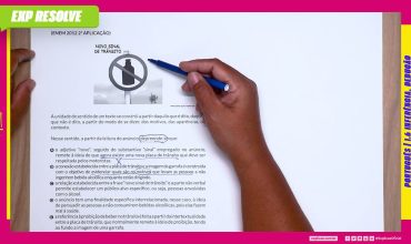 A unidade de sentido de um texto se constrói a partir