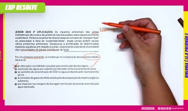 Os impactos ambientais das usinas hidrelétricas são motivo de