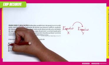 Instituições acadêmicas e de pesquisa no mundo estão inserindo genes em