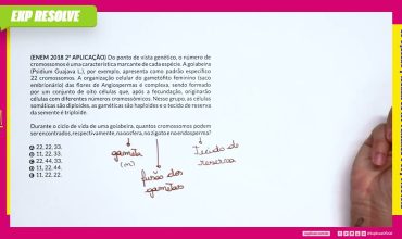 Do ponto de vista genético, o número de cromossomos é uma