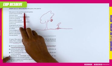 O texto meu povo, meu poema, de ferreira