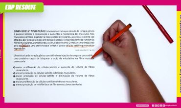 Estudos mostram que através de terapia gênica é possível alterar a composição e