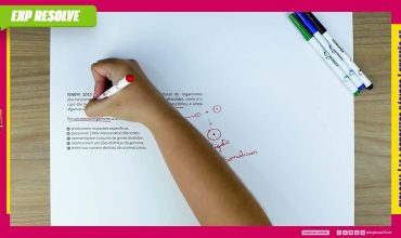 O formato das células de organismos pluricelulares é extremamente variado