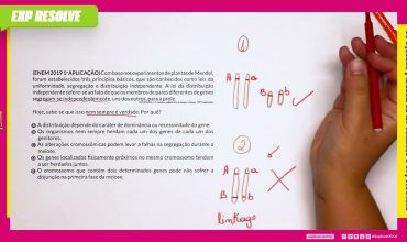 Com base nos experimentos de plantas de mendel, foram estabelecidos