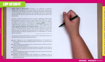 Começam a ser descritas as primeiras modificações duradouras na