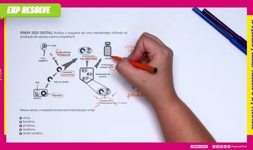 Analise o esquema de uma metodologia utilizada na produção de vacinas contra
