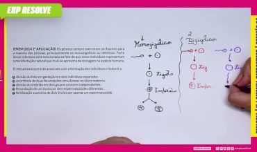 Os gêmeos sempre exerceram um fascínio para a maioria das pessoas,