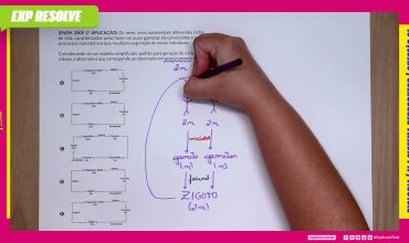 Os seres vivos apresentam diferentes ciclos de vida, caracterizados pelas