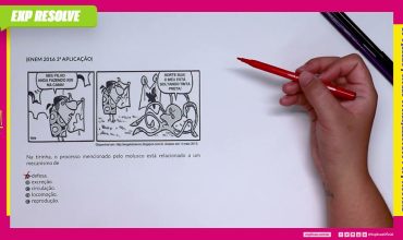 Na tirinha, o processo mencionado pelo molusco está relacionado a um
