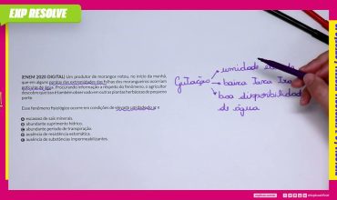 Um produtor de morangos notou, no início da manhã, que em alguns pontos