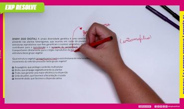 A ampla diversidade genética é uma característica presente nas plantas
