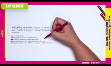 As plantas, em sua fase de crescimento, necessitam de grande