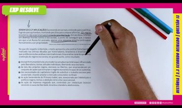 Escrevendo em jornais, entrando para a política, fugindo para quilombos,