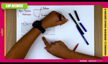 A experiência do movimento organizado de mulheres no brasil oferece
