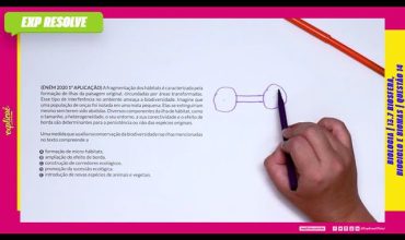 A fragmentação dos hábitats é caracterizada pela formação de