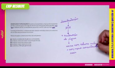 Durante uma expedição, um grupo de estudantes perdeu-se de seu guia. ao