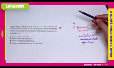 A irradiação e o sucesso evolutivo das angiospermas estão associados à ação
