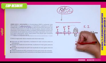 O 2,4-dinitrofenol (dnp) é conhecido como desacoplador