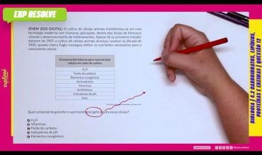 O cultivo de células animais transformou-se em uma